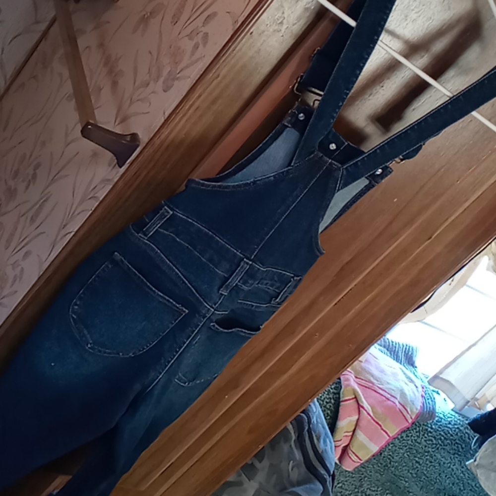 Overalls - Picture 2 of 2